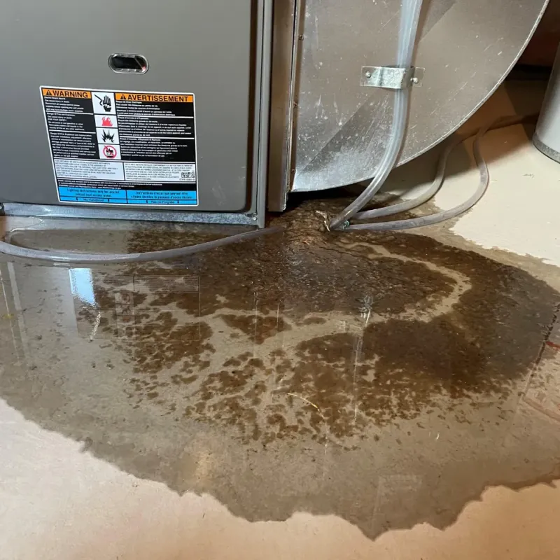 Appliance Leak Cleanup in Osprey, FL